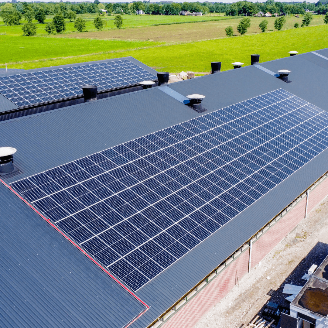 Zonnepanelen agrarisch bedrijf Zonnepanelen agrarisch bedrijf